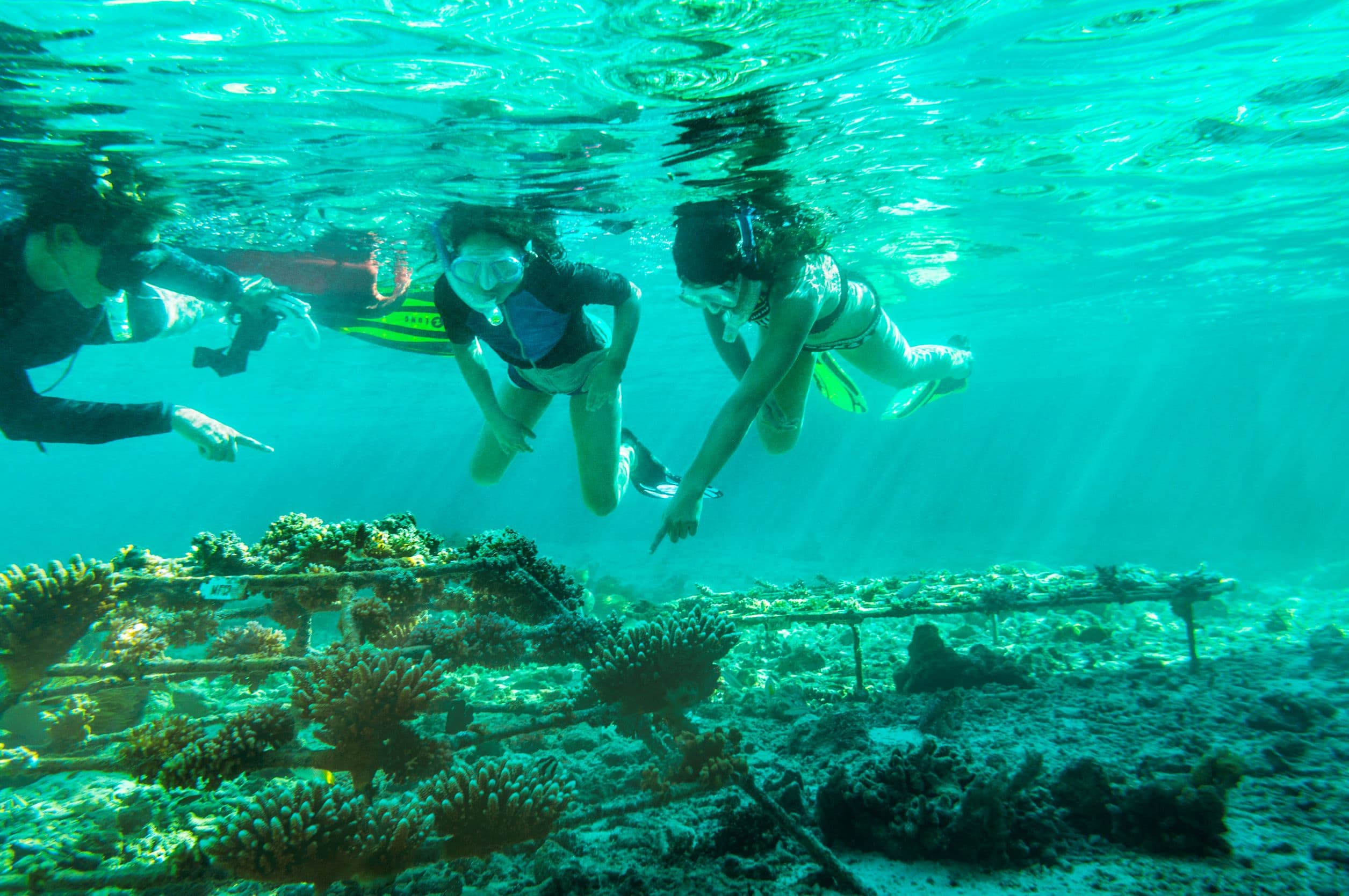 Snorkelling