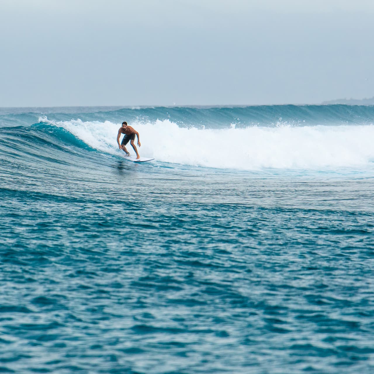 Surfing